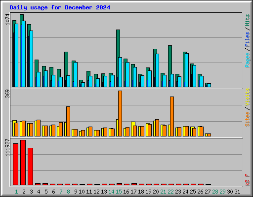 Daily usage for December 2024