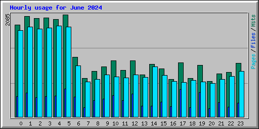 Hourly usage for June 2024