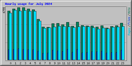 Hourly usage for July 2024