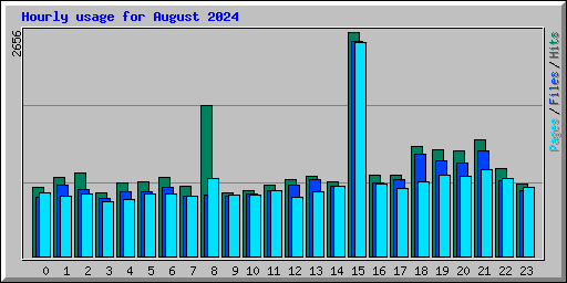 Hourly usage for August 2024