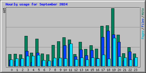 Hourly usage for September 2024