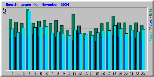 Hourly usage for November 2024