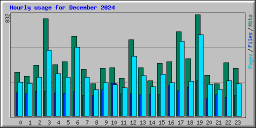 Hourly usage for December 2024