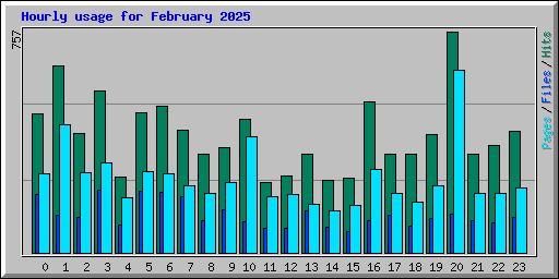 Hourly usage for February 2025