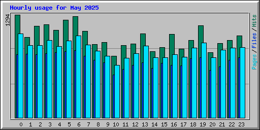 Hourly usage for May 2025