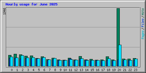 Hourly usage for June 2025