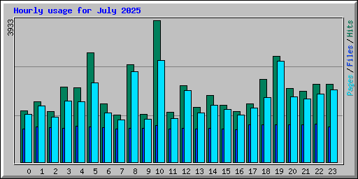 Hourly usage for July 2025
