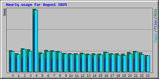 Hourly usage for August 2025