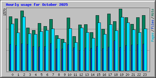Hourly usage for October 2025