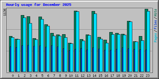 Hourly usage for December 2025