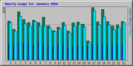 Hourly usage for January 2026