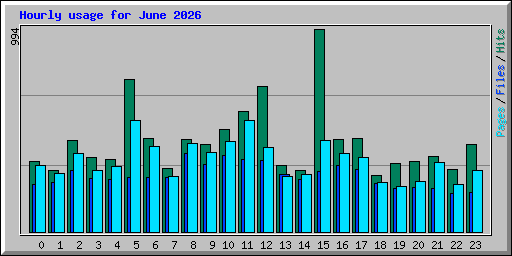 Hourly usage for June 2026