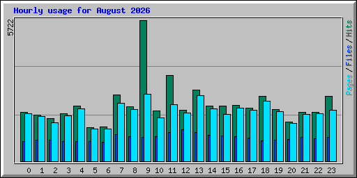Hourly usage for August 2026