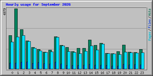 Hourly usage for September 2026