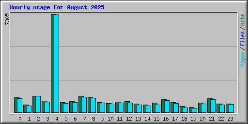 Hourly usage for August 2025