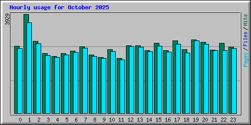 Hourly usage for October 2025