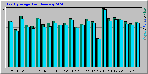 Hourly usage for January 2026