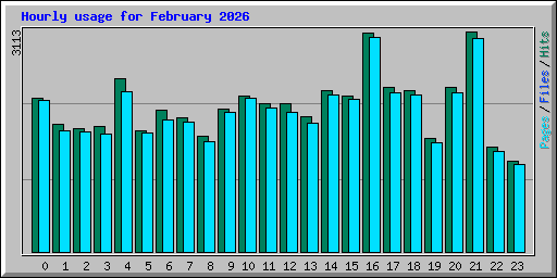 Hourly usage for February 2026